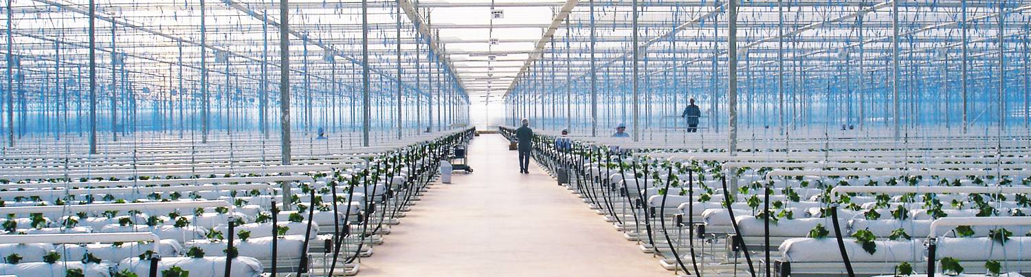 novagric portada|agricultura inteligente|logo-NOVAGRIC_NovedadesAgricolas|novagric